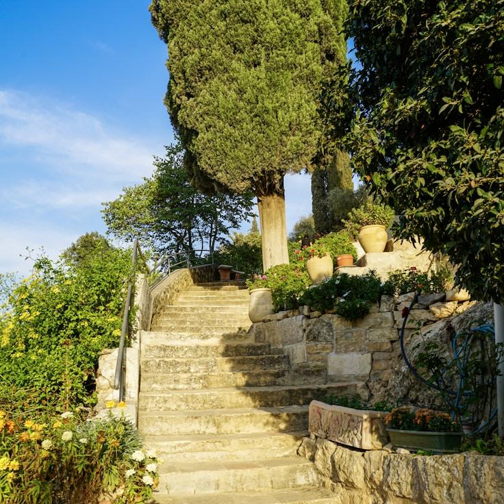 Entertainment zone at night in Canada